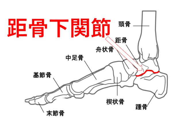 距骨下関節